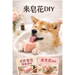 寵物手工皂DIY新北人氣手作課程指南:板橋三重的香皂與永生花體驗 寵物手工皂DIY新北人氣手作課程指南:板橋三重的香皂與永生花體驗