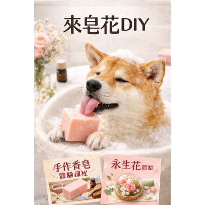 寵物手工皂DIY新北人氣手作課程指南:板橋三重的香皂與永生花體驗 寵物手工皂DIY新北人氣手作課程指南:板橋三重的香皂與永生花體驗
