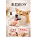 寵物手工皂DIY新北人氣手作課程指南:板橋三重的香皂與永生花體驗 寵物手工皂DIY新北人氣手作課程指南:板橋三重的香皂與永生花體驗
